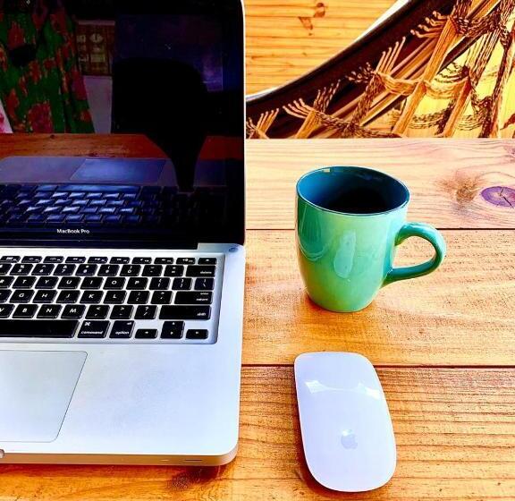 פנסיון Hospedagem Bicho Do Mato Arts