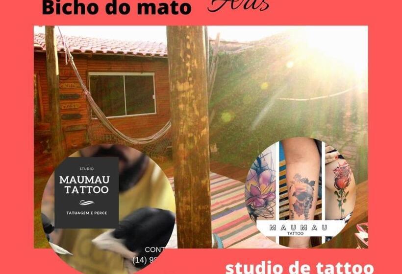 פנסיון Hospedagem Bicho Do Mato Arts