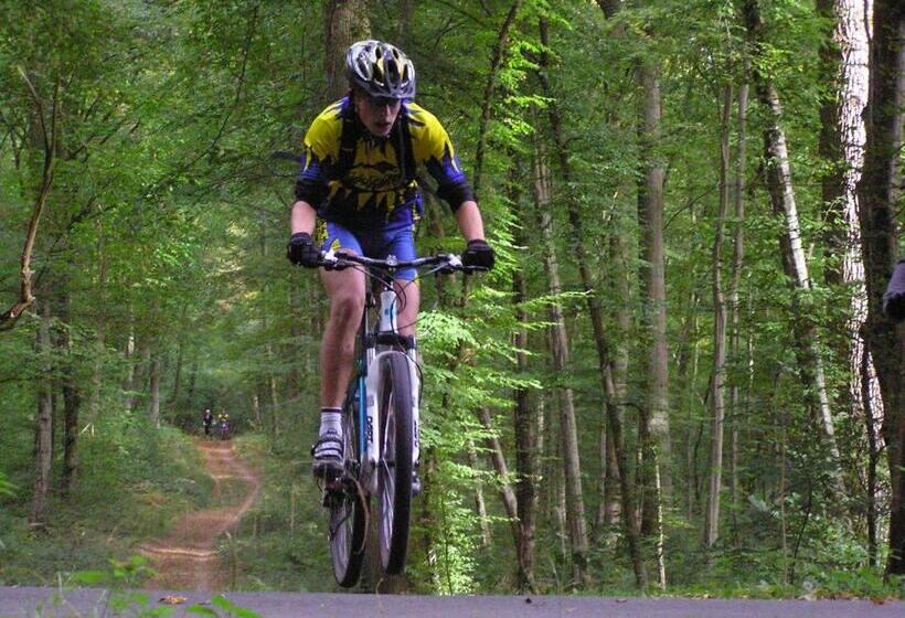 פנסיון Millygite Chalet On Wheels By The River