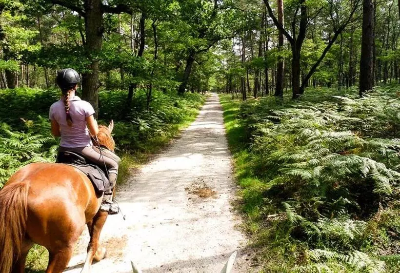 Majatalo Millygite Chalet On Wheels By The River