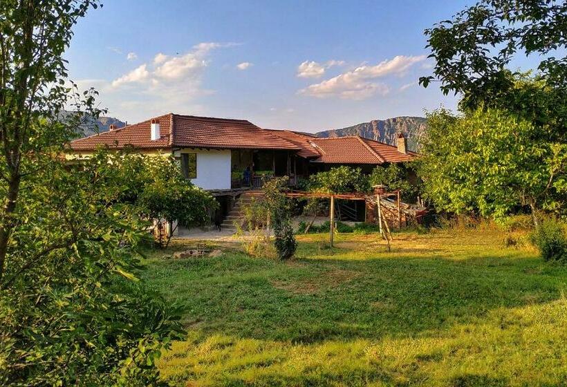 פנסיון The Old Nest