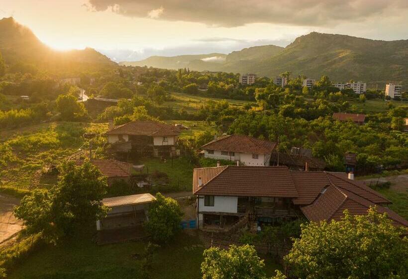 פנסיון The Old Nest