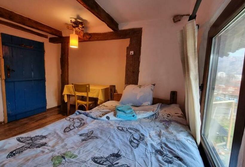 פנסיון The Old Nest