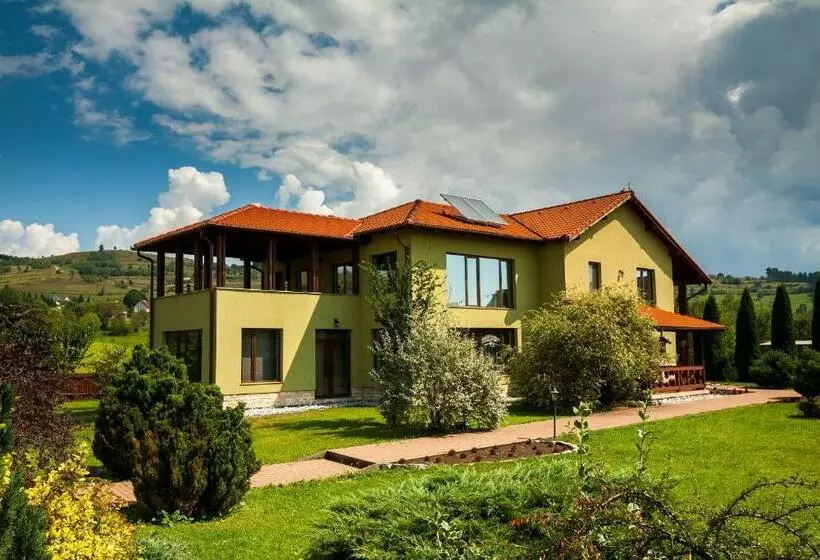 ペンション Vila Transylvania