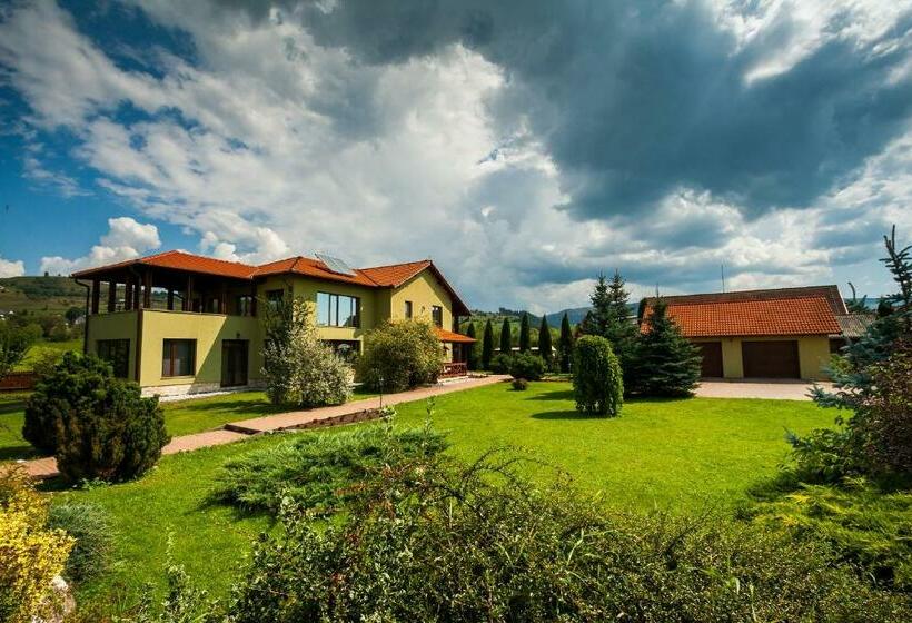 膳宿费 Vila Transylvania