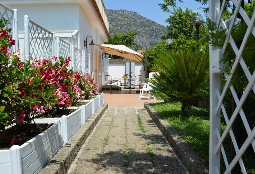 Bed and Breakfast Baia Della Serenità