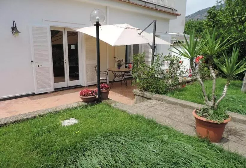 ベッドアンドブレックファースト Baia Della Serenità