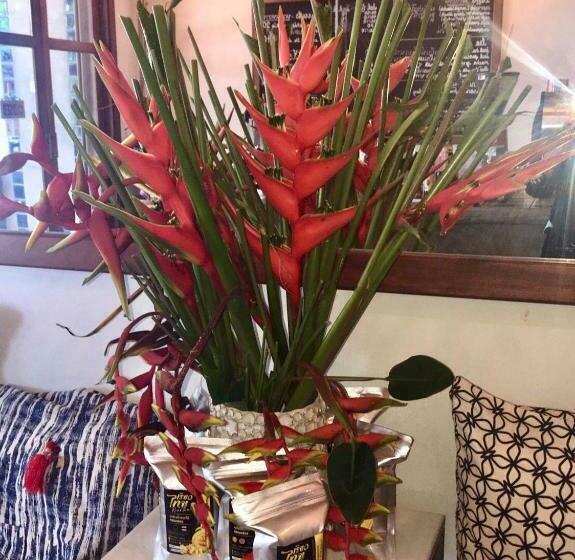 پانسیون Little Jasmine By The River