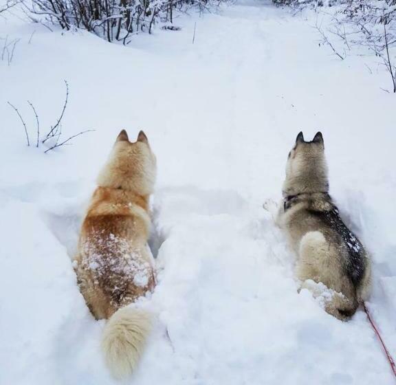 민박 Les Genévriers