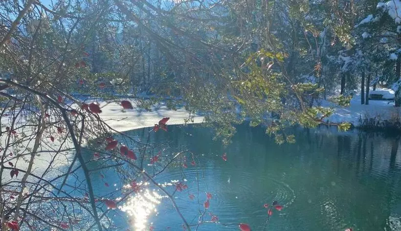 Aamiaismajoitus (B&B) Une Envie De Montagne