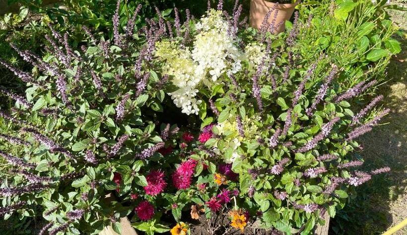 تختخواب و صبحانه Une Envie De Montagne