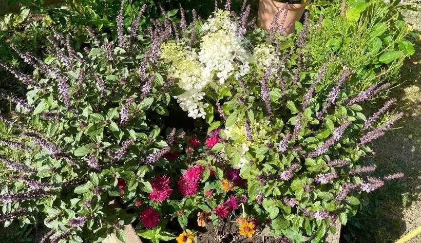 Aamiaismajoitus (B&B) Une Envie De Montagne