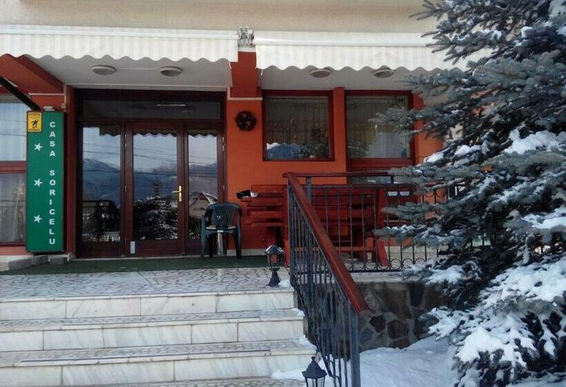 펜션 Casa Soricelu