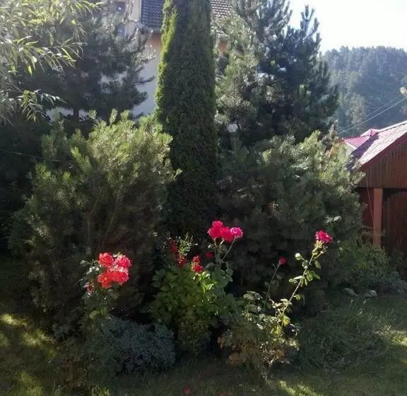 پانسیون Casa Soricelu