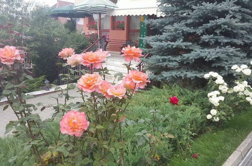 펜션 Casa Soricelu