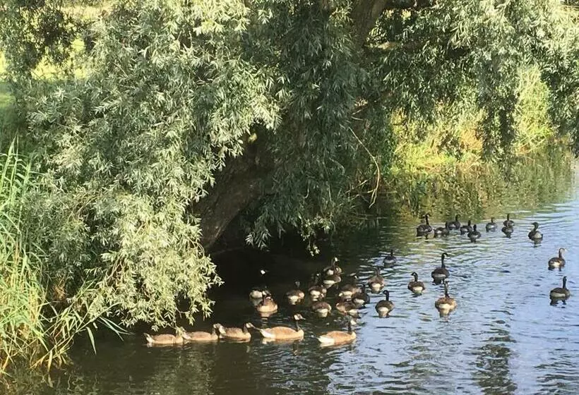 تختخواب و صبحانه De Weije Wereld