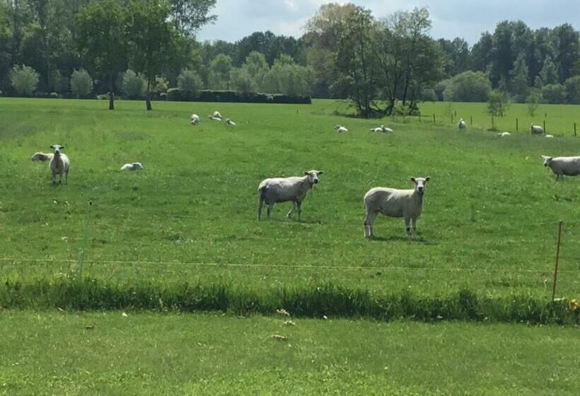 مبيت وإفطار De Weije Wereld
