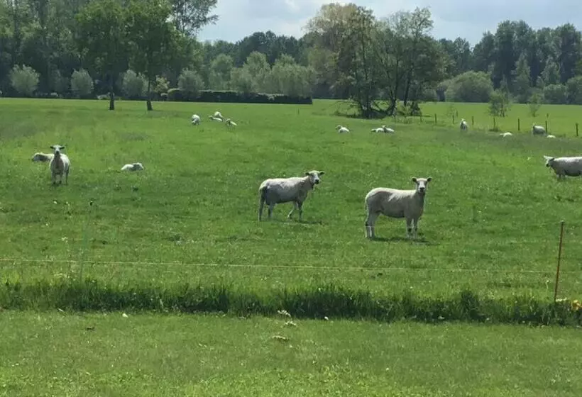 تختخواب و صبحانه De Weije Wereld