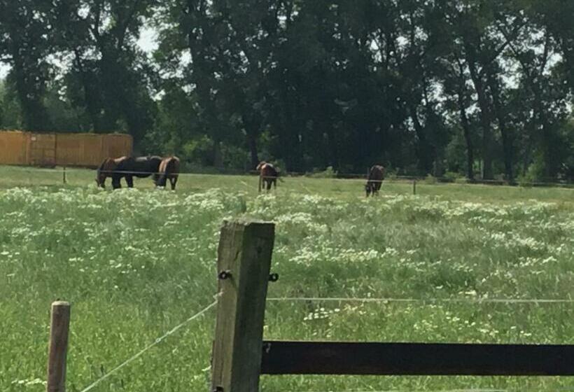 مبيت وإفطار De Weije Wereld