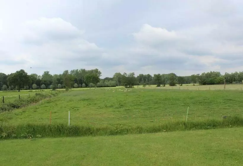 تختخواب و صبحانه De Weije Wereld