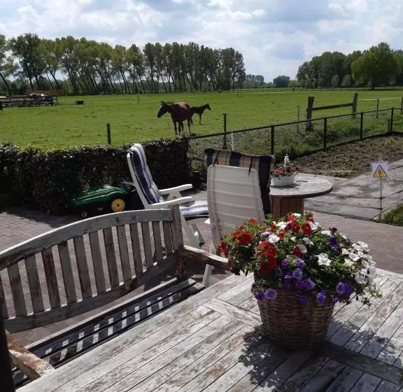 تختخواب و صبحانه De Weije Wereld