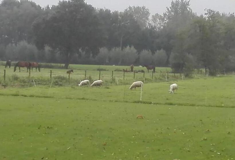 مبيت وإفطار De Weije Wereld