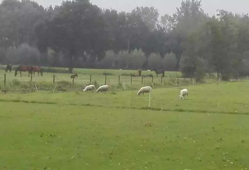 تختخواب و صبحانه De Weije Wereld