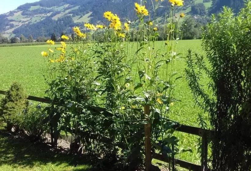 Aamiaismajoitus (B&B) Haus Kreidl