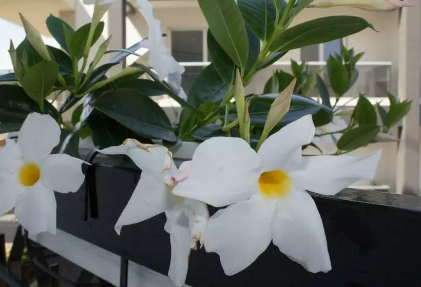 ベッドアンドブレックファースト La Dimora Di Greta