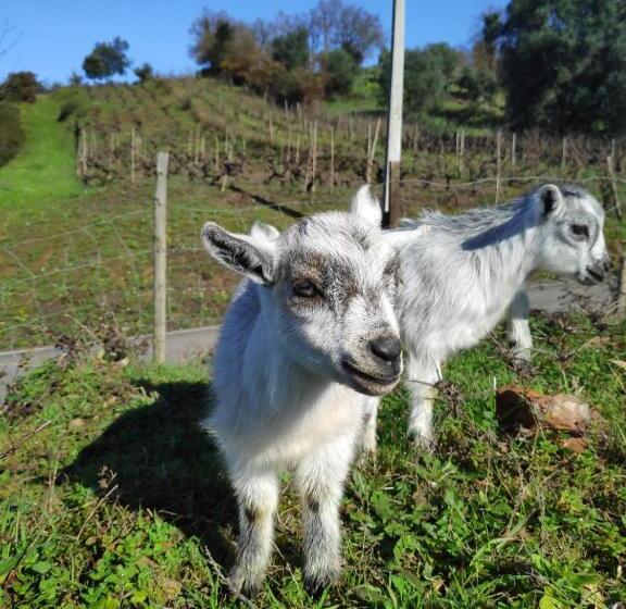 تختخواب و صبحانه Nature Et Al House Casa Para Uso Exclusivo Com Jardim