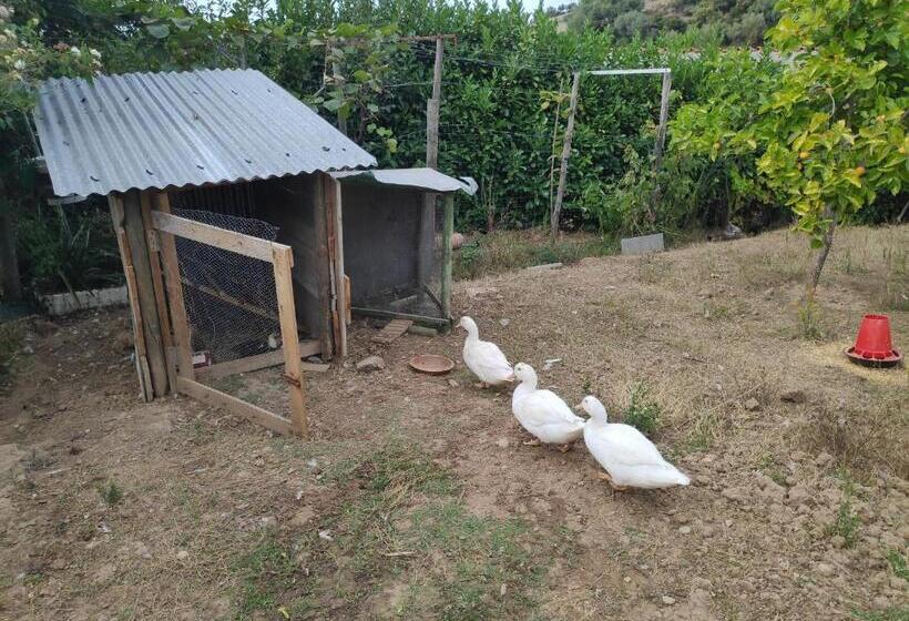 تختخواب و صبحانه Nature Et Al House Casa Para Uso Exclusivo Com Jardim