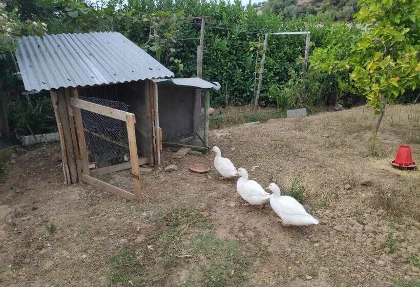 ベッドアンドブレックファースト Nature Et Al House   Casa Para Uso Exclusivo Com Jardim