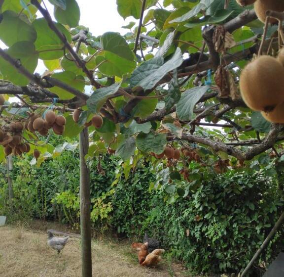 تختخواب و صبحانه Nature Et Al House Casa Para Uso Exclusivo Com Jardim