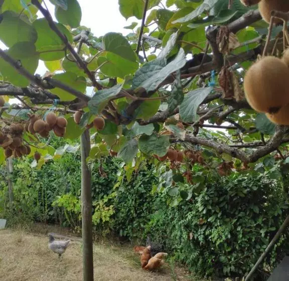 ベッドアンドブレックファースト Nature Et Al House   Casa Para Uso Exclusivo Com Jardim