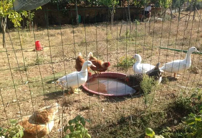 ベッドアンドブレックファースト Nature Et Al House   Casa Para Uso Exclusivo Com Jardim