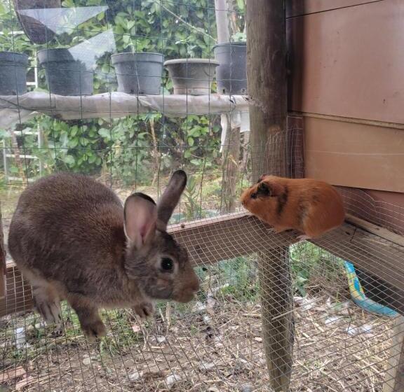 تختخواب و صبحانه Nature Et Al House Casa Para Uso Exclusivo Com Jardim