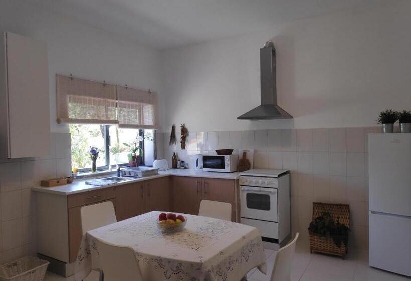 تختخواب و صبحانه Nature Et Al House Casa Para Uso Exclusivo Com Jardim