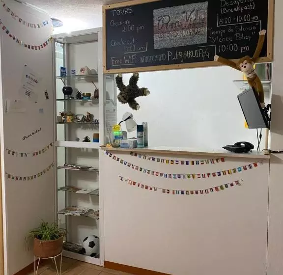 ベッドアンドブレックファースト Pura Vida! Ciudad Hidalgo