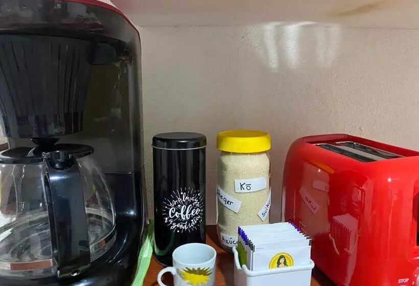 ベッドアンドブレックファースト Pura Vida! Ciudad Hidalgo