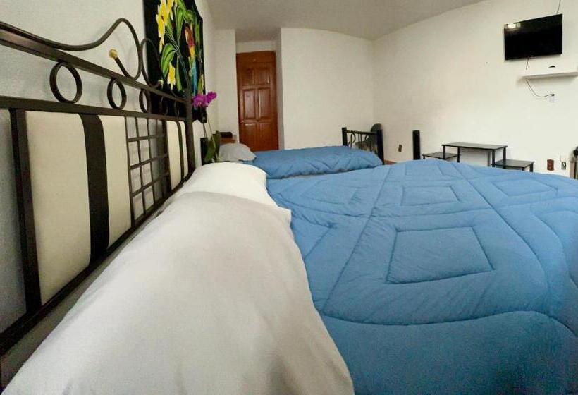 مبيت وإفطار Pura Vida! Ciudad Hidalgo