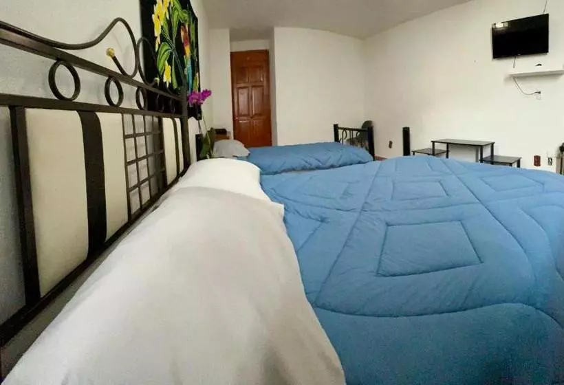ベッドアンドブレックファースト Pura Vida! Ciudad Hidalgo