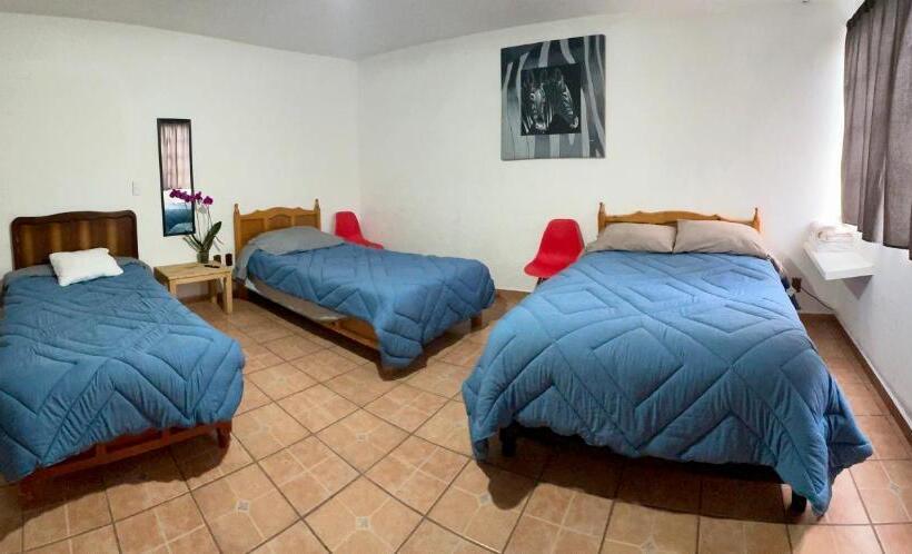 مبيت وإفطار Pura Vida! Ciudad Hidalgo