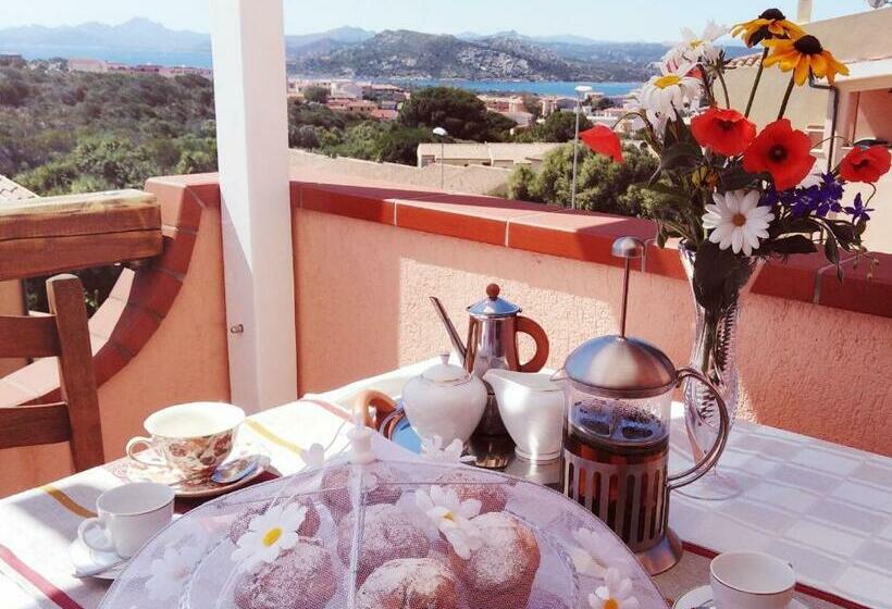 Nocleg ze śniadaniem The Roses Garden