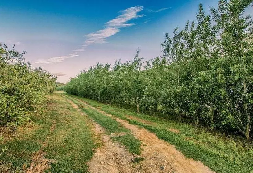 ホテル Oudewerfskloof Olive Farm