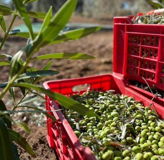 בית מלון כפרי Villa Santa Margherita