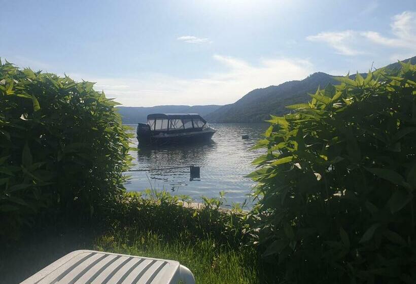 펜션 Casa Wanted Orsova