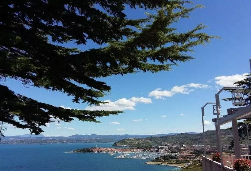 Belvedere Resort Hotels