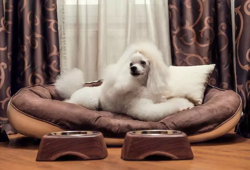 هتل City Residence Apartment