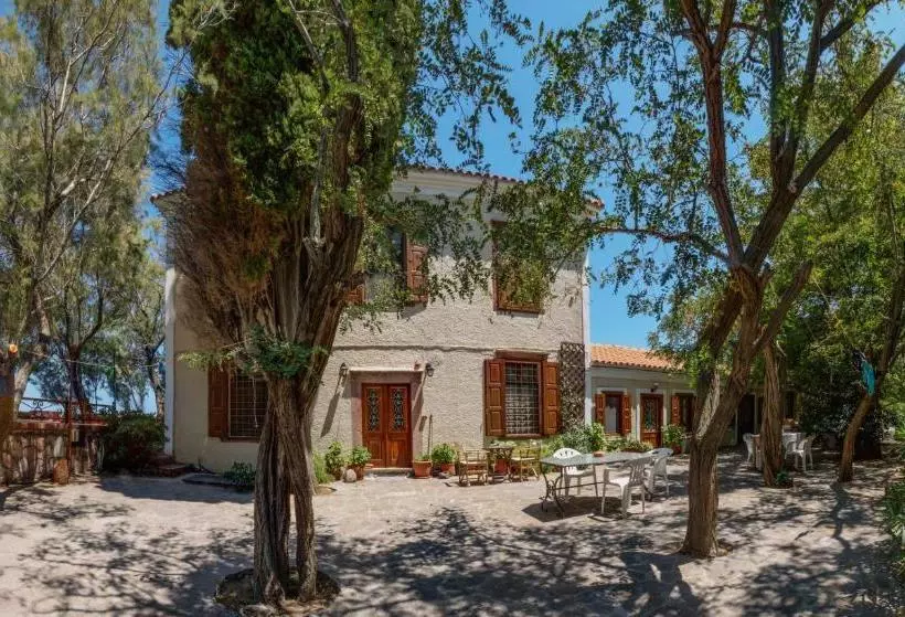 Lela Kaptani Eftalou Olive Grove