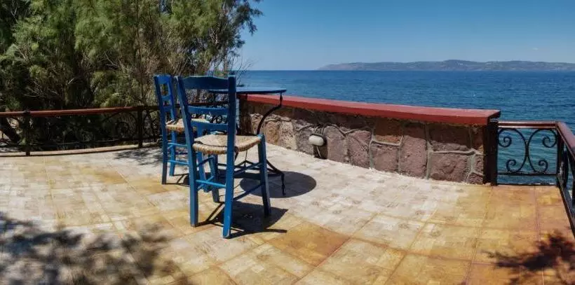 Lela Kaptani Eftalou Olive Grove